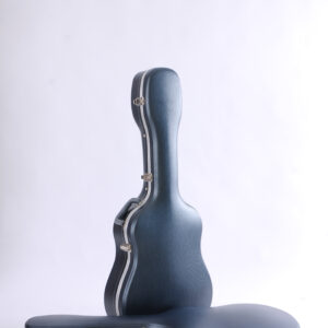 RAS-D-GY Folk Guitar Waterproof and Shockproof ABS Lightweight Fleece Lining 40/41 Inch Universal