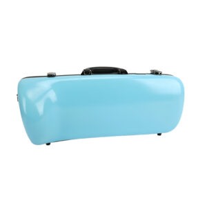 Saxophone case